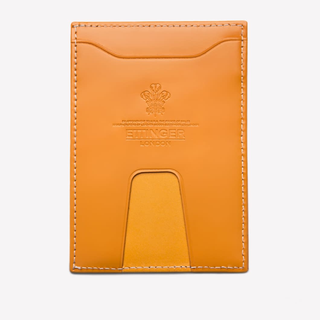 ETR Bridle Travel Pass Holder