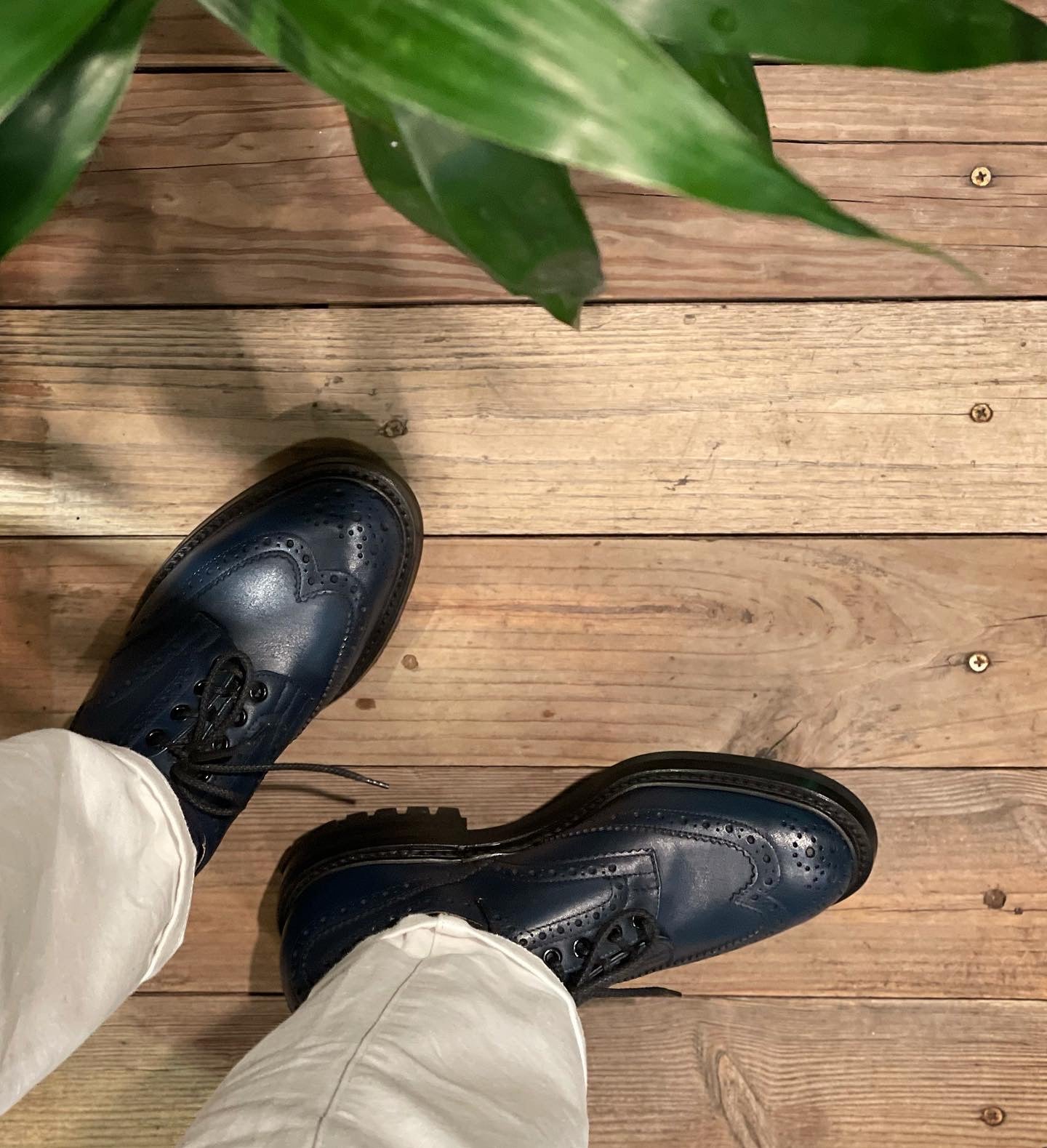 TKS BOURTON Commando Sole Navy Calf