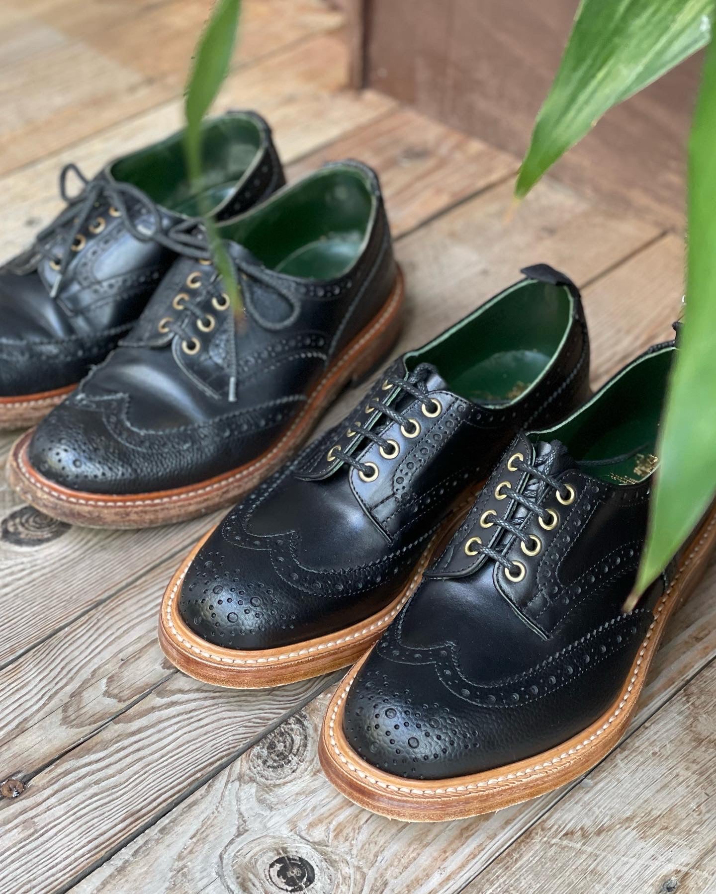 TKS MTO1 BOURTON Leather Sole Multi Black