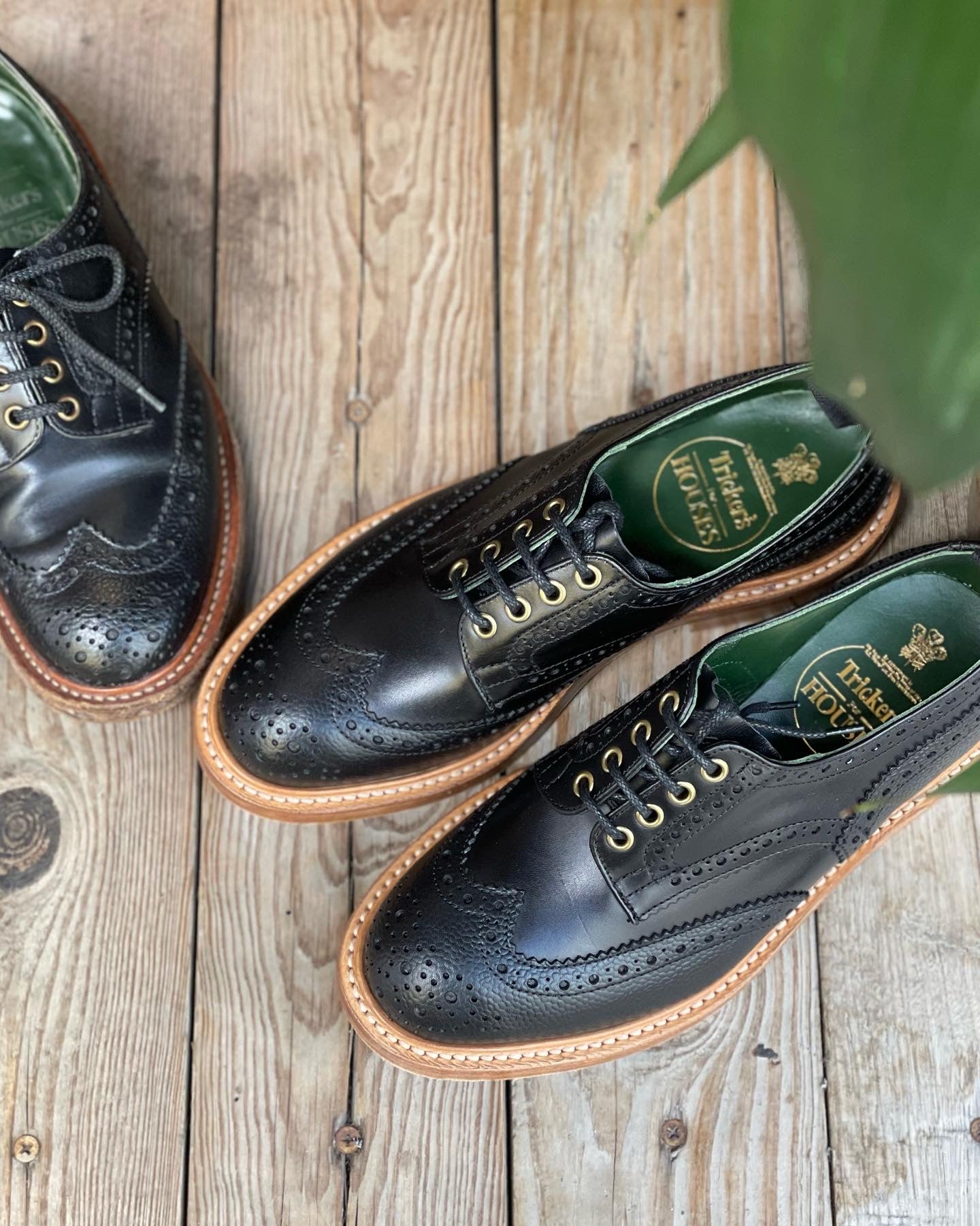 TKS MTO1 BOURTON Leather Sole Multi Black
